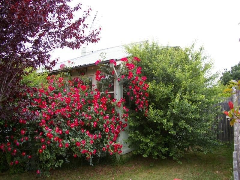 51 Argyle Street, NEW BERRIMA NSW 2577, New Berrima - Thumbnail 5