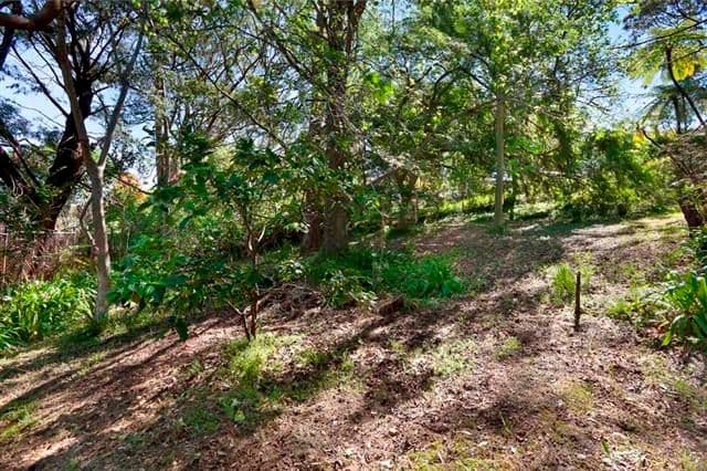 239 Tryon Road, LINDFIELD NSW 2070, East Lindfield - Thumbnail 7