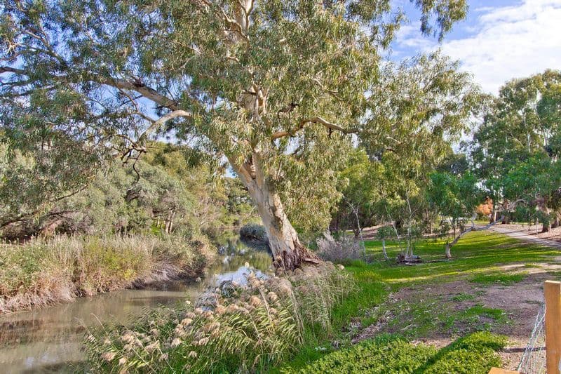 96 Frogmore Road, Kidman Park SA 5025, Kidman Park - Thumbnail 4