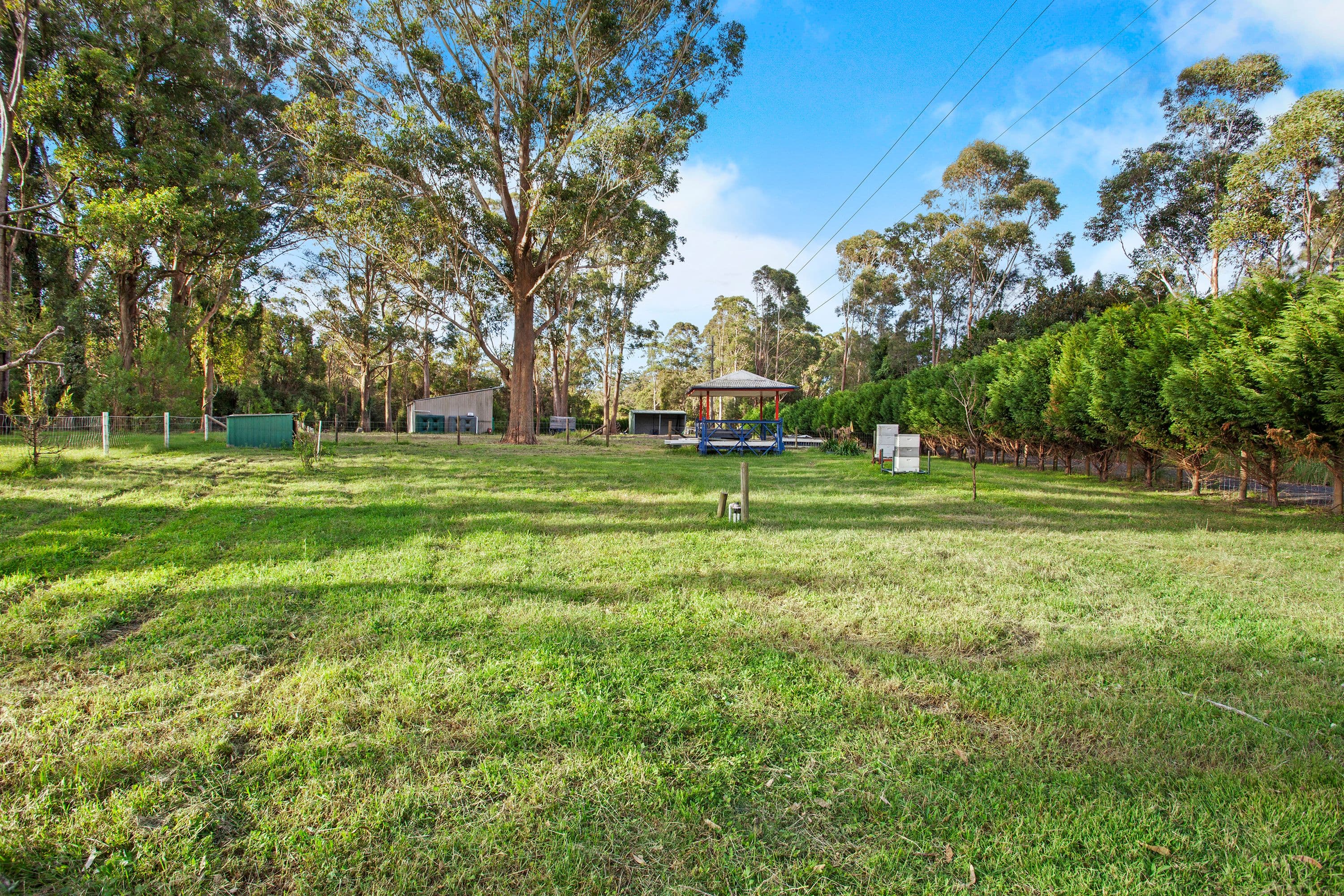 145 Orchard Road, Kangy Angy NSW 2258, Kangy Angy - Thumbnail 5