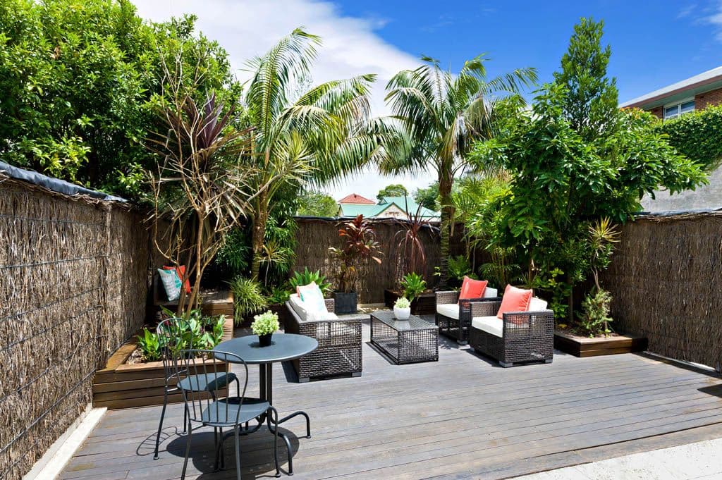 14 Alberto Street, Lilyfield NSW 2040, Lilyfield - Thumbnail 4