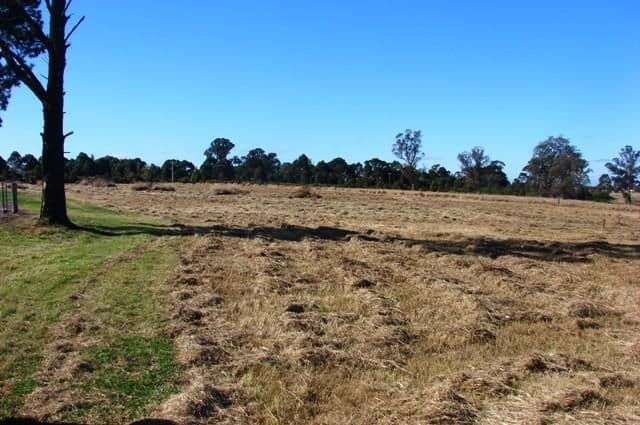 844 Richmond Road, BERKSHIRE PARK NSW 2765, Berkshire Park - Thumbnail 5
