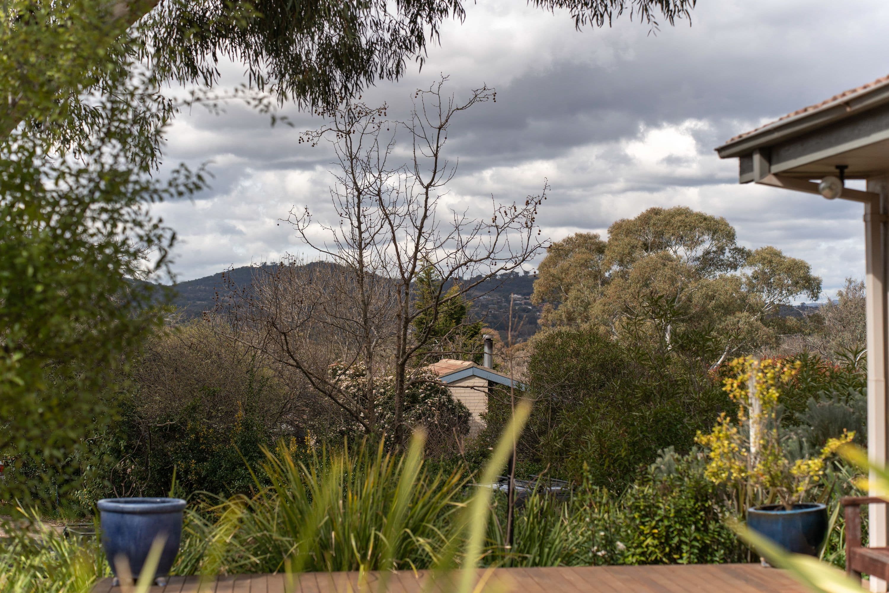 3 Toole Place, Kambah ACT 2902, Kambah - Thumbnail 4