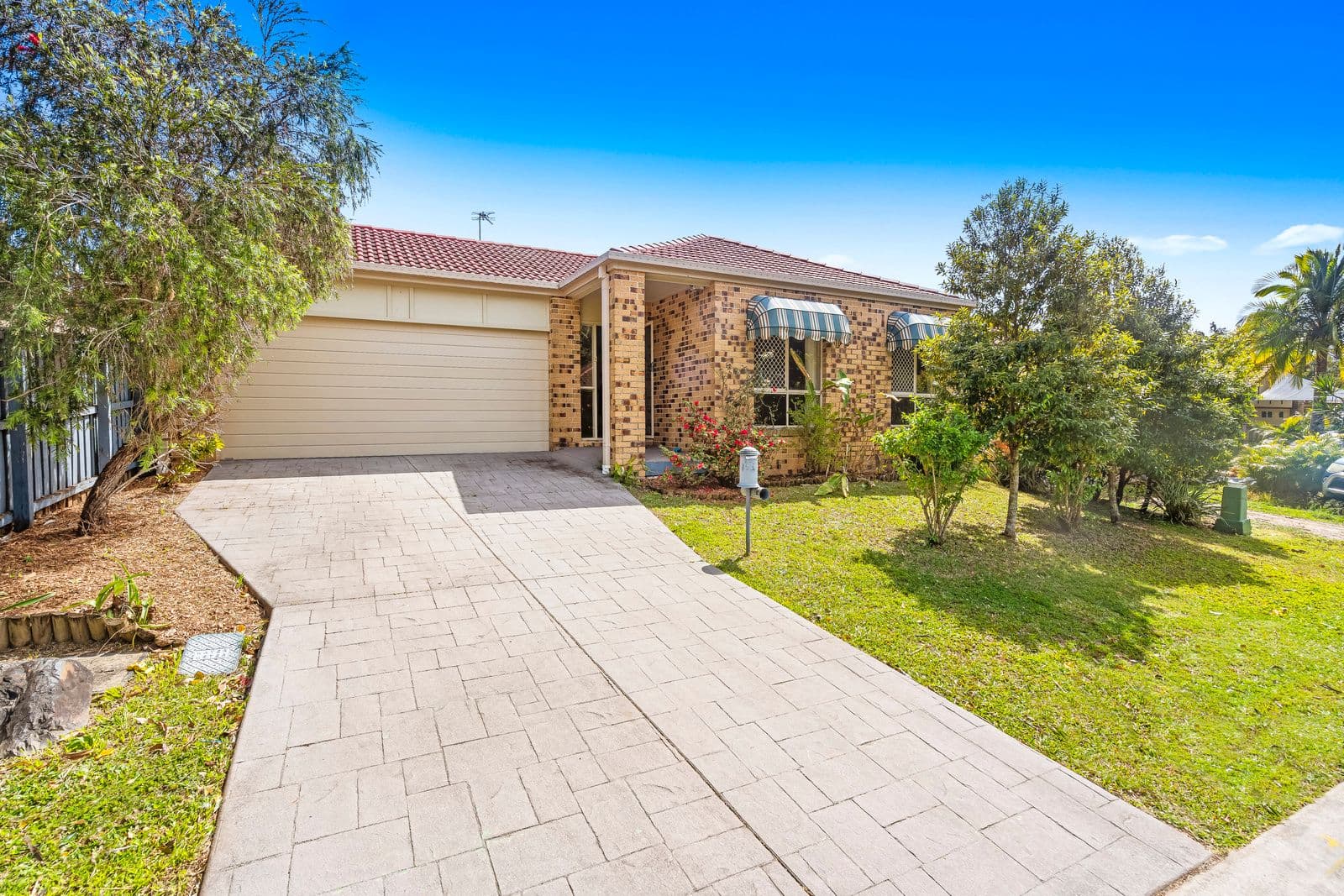 17 Water Gum Street, Elanora QLD 4221, Elanora - Image 1
