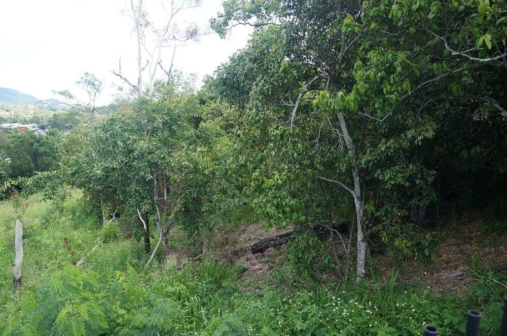 Lot 40 Beth Court, Cannonvale QLD 4802, Cannonvale - Thumbnail 4