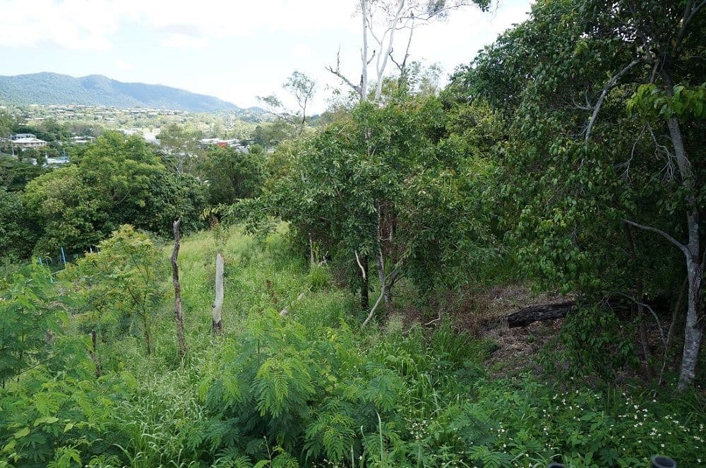 Lot 40 Beth Court, Cannonvale QLD 4802, Cannonvale - Thumbnail 7
