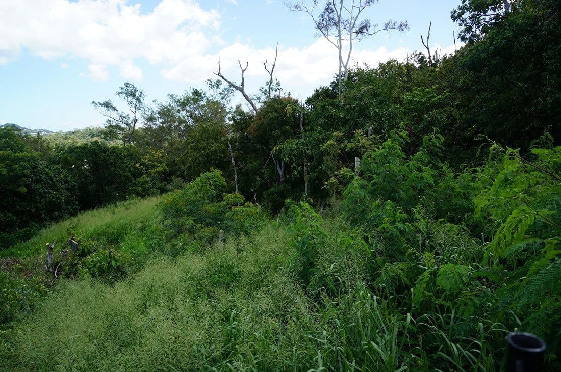 Lot 40 Beth Court, Cannonvale QLD 4802, Cannonvale - Thumbnail 8