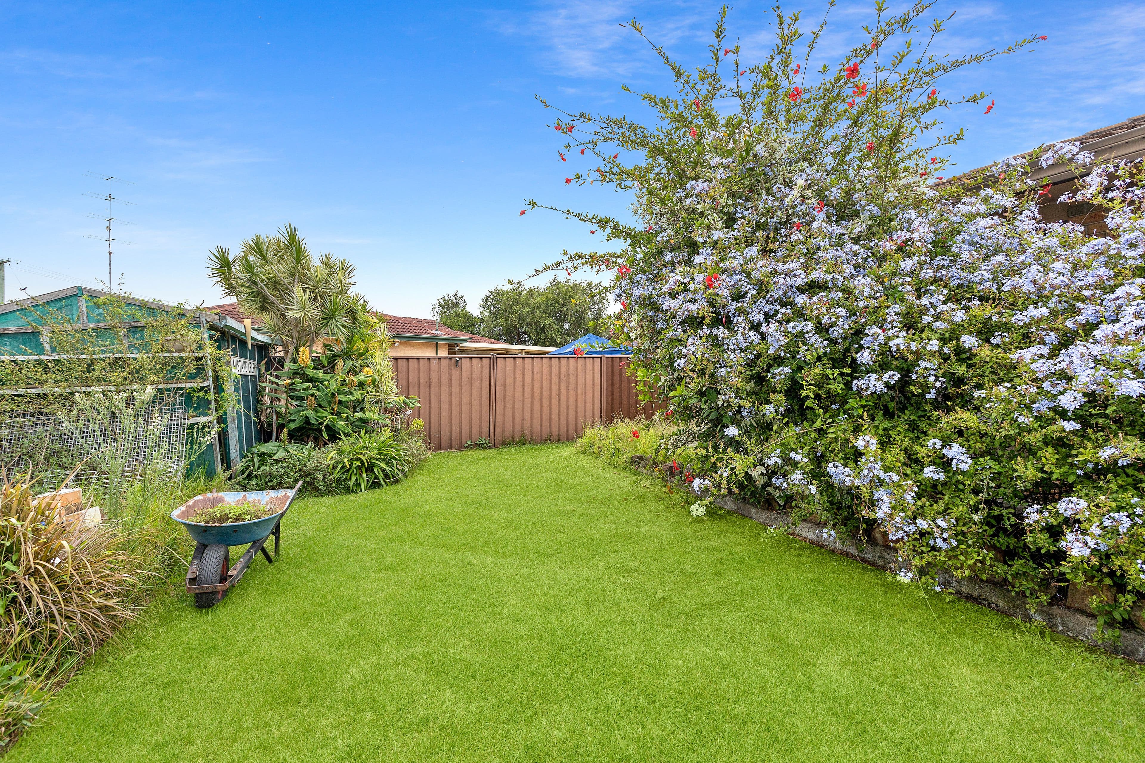 23 Jeffcoat Street, Albion Park NSW 2527, Albion Park - Thumbnail 8