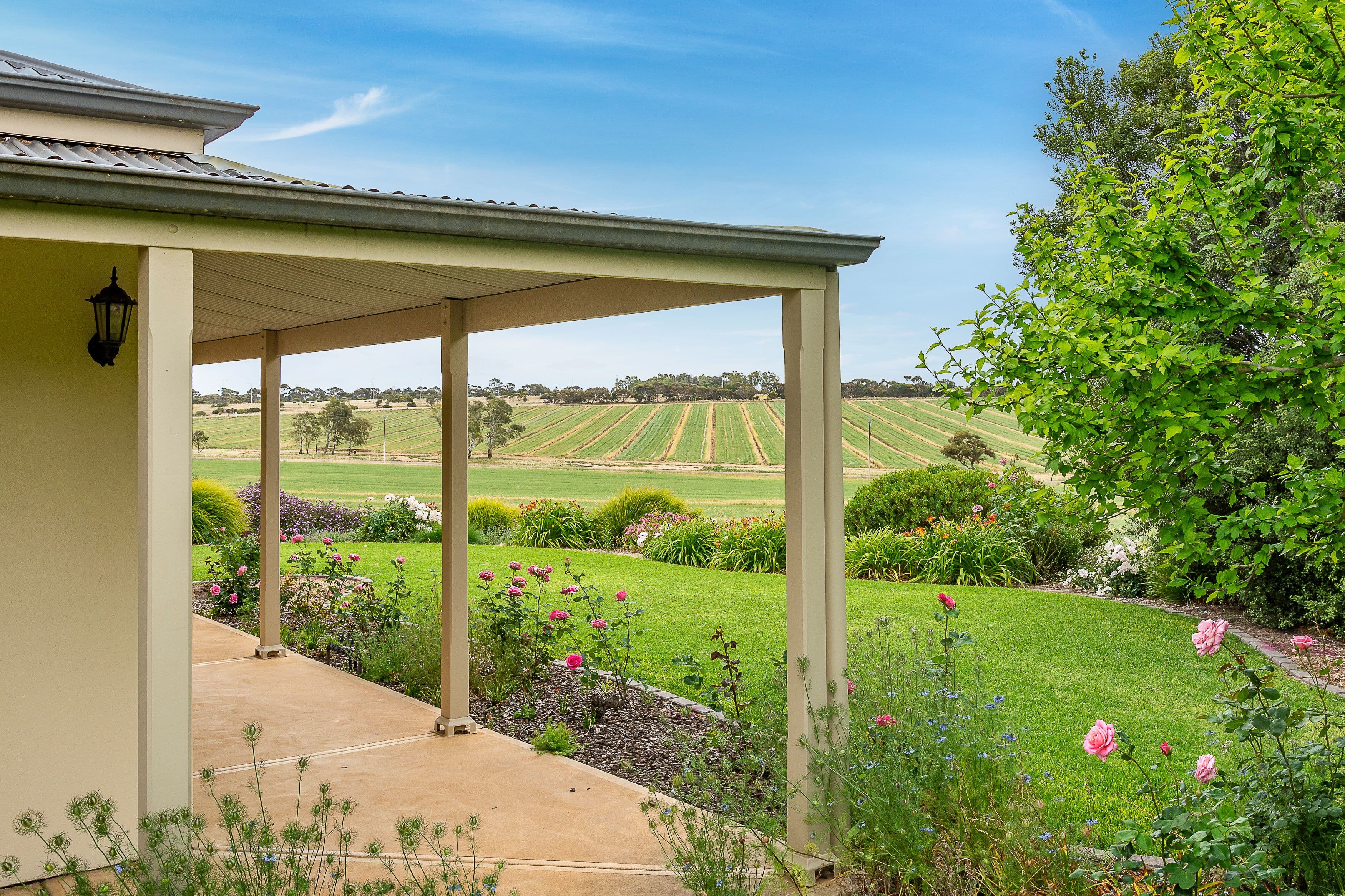 8 Ryrie Avenue, Forestville, Forestville - Image 1