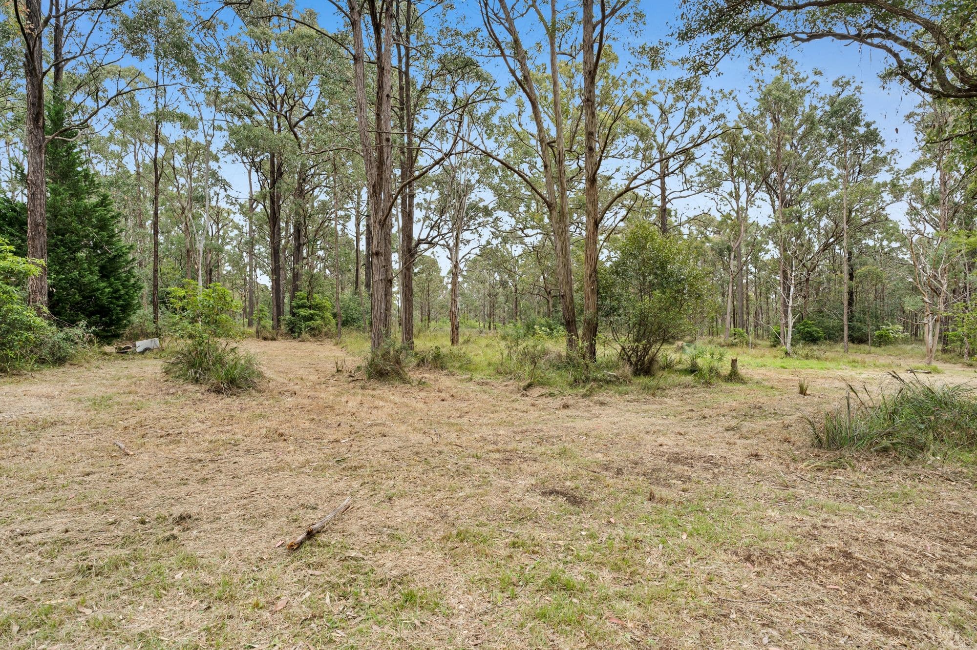 115 Wilton Road, Wilton NSW 2571, Wilton - Thumbnail 5