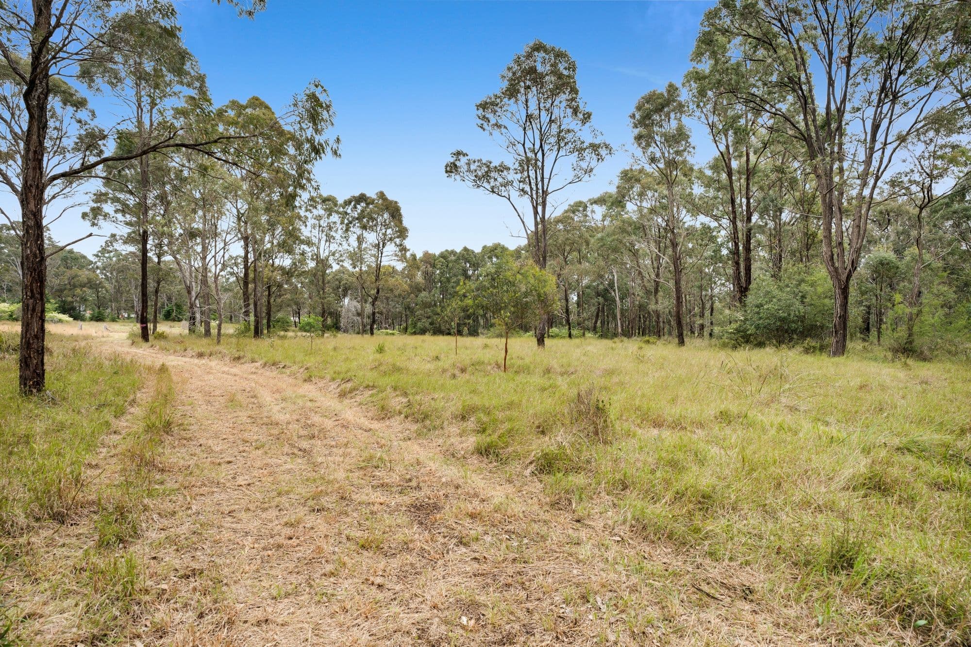 115 Wilton Road, Wilton NSW 2571, Wilton - Thumbnail 6