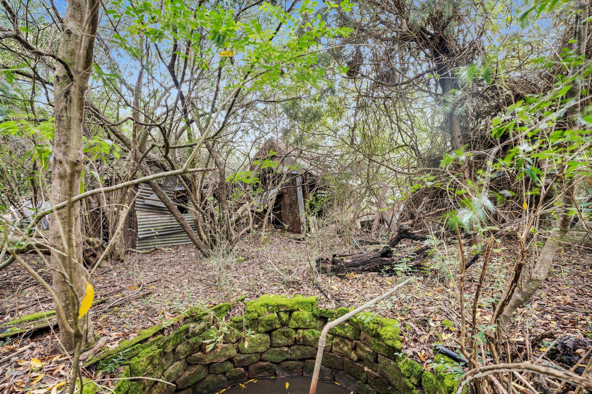 115 Wilton Road, Wilton NSW 2571, Wilton - Thumbnail 7