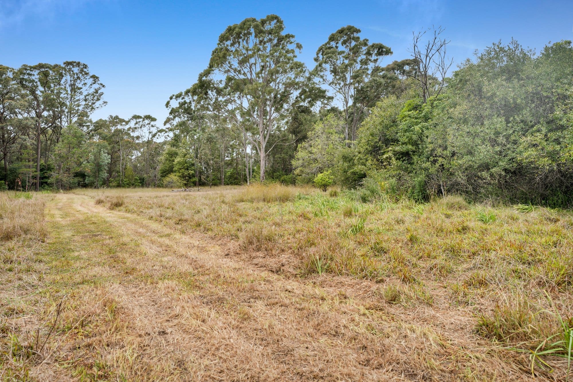 115 Wilton Road, Wilton NSW 2571, Wilton - Thumbnail 8