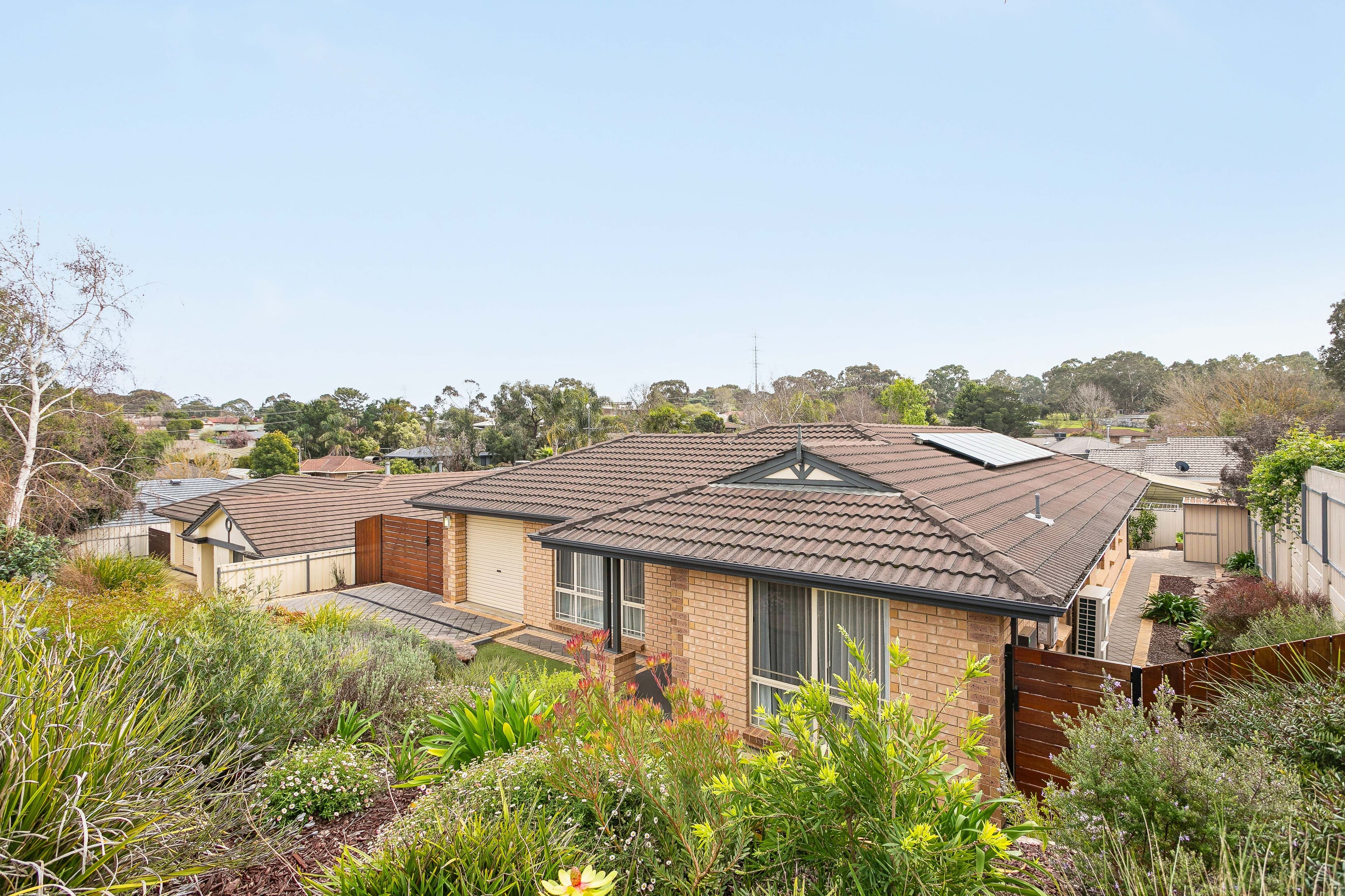 3 Amelio Walk, Flagstaff Hill SA 5159, Flagstaff Hill - Thumbnail 4