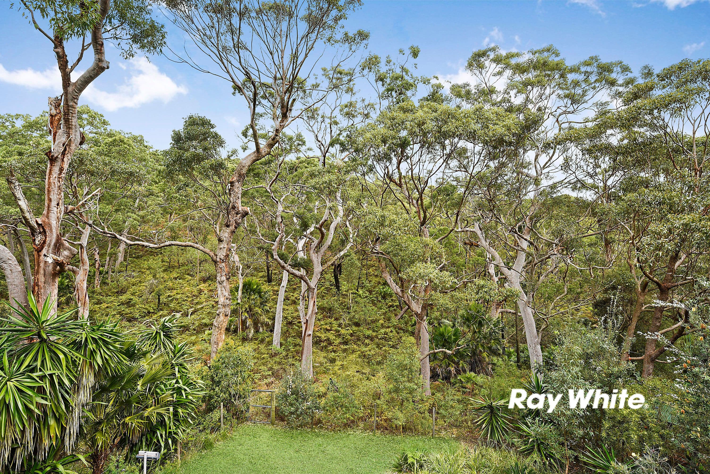 53 Beachcomber Avenue, Bundeena - Thumbnail 8