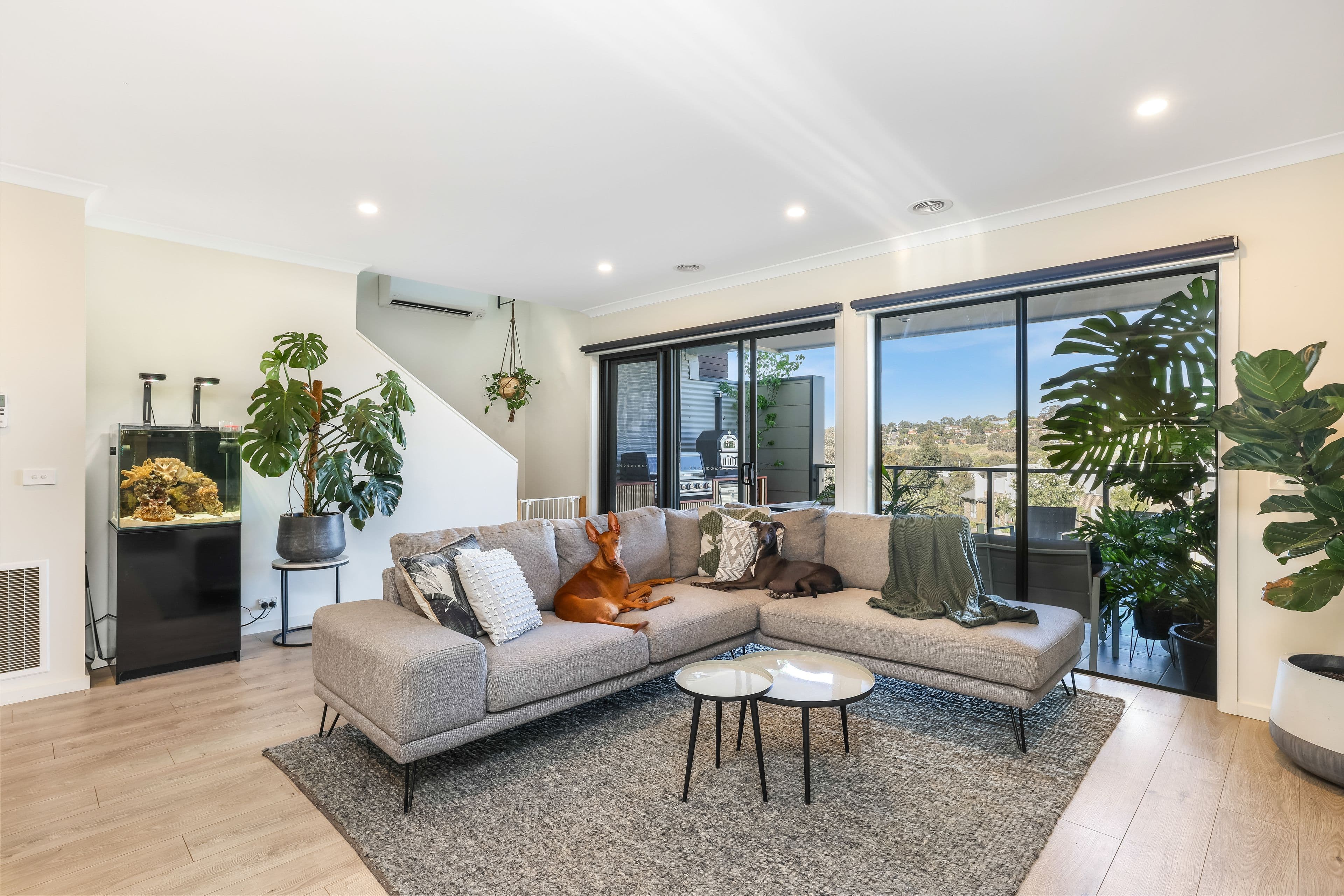 43 Vista Circuit, Westmeadows VIC 3049, Westmeadows - Thumbnail 2