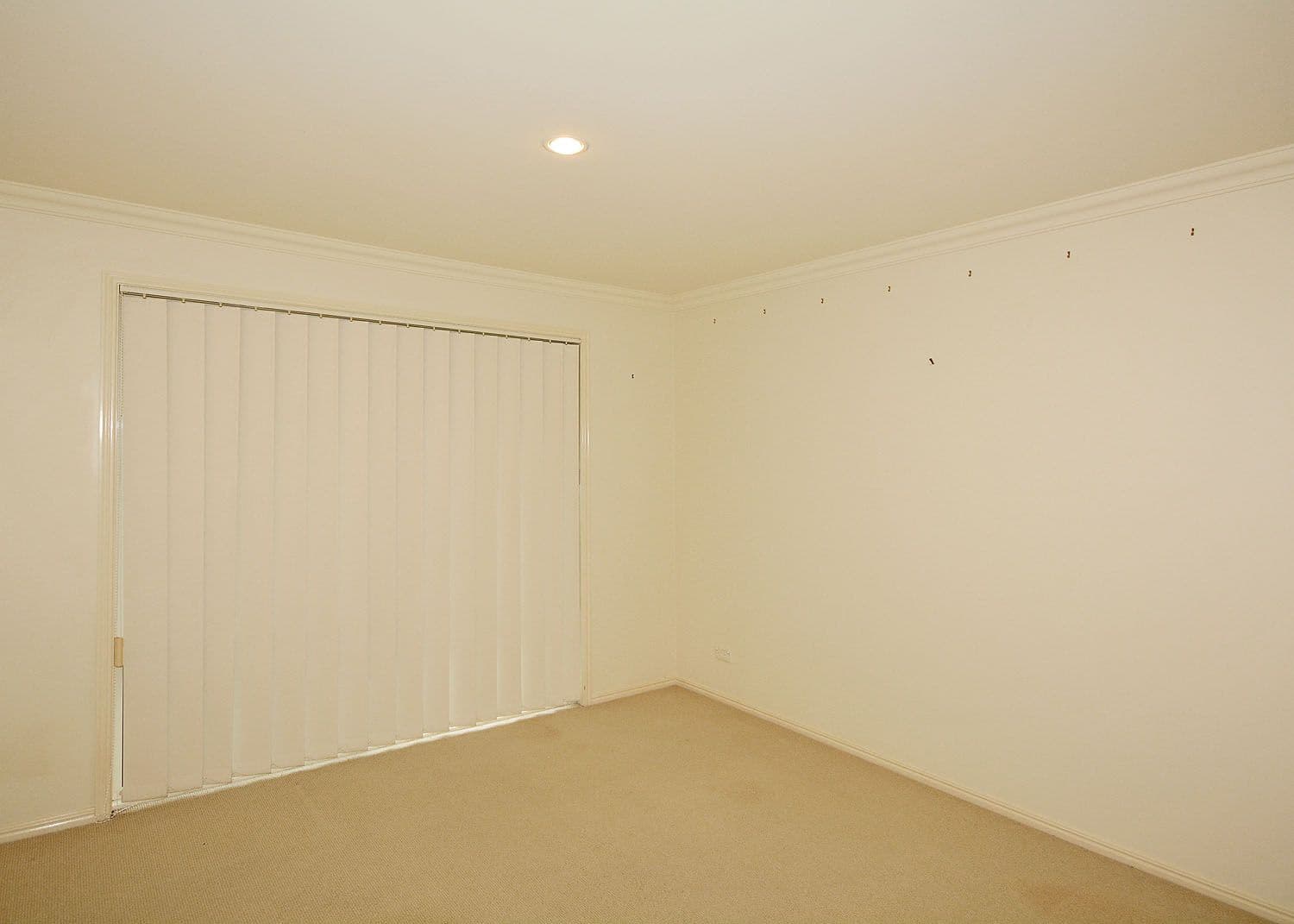 25 Tristania Crescent, Urangan QLD 4655, Urangan - Thumbnail 7