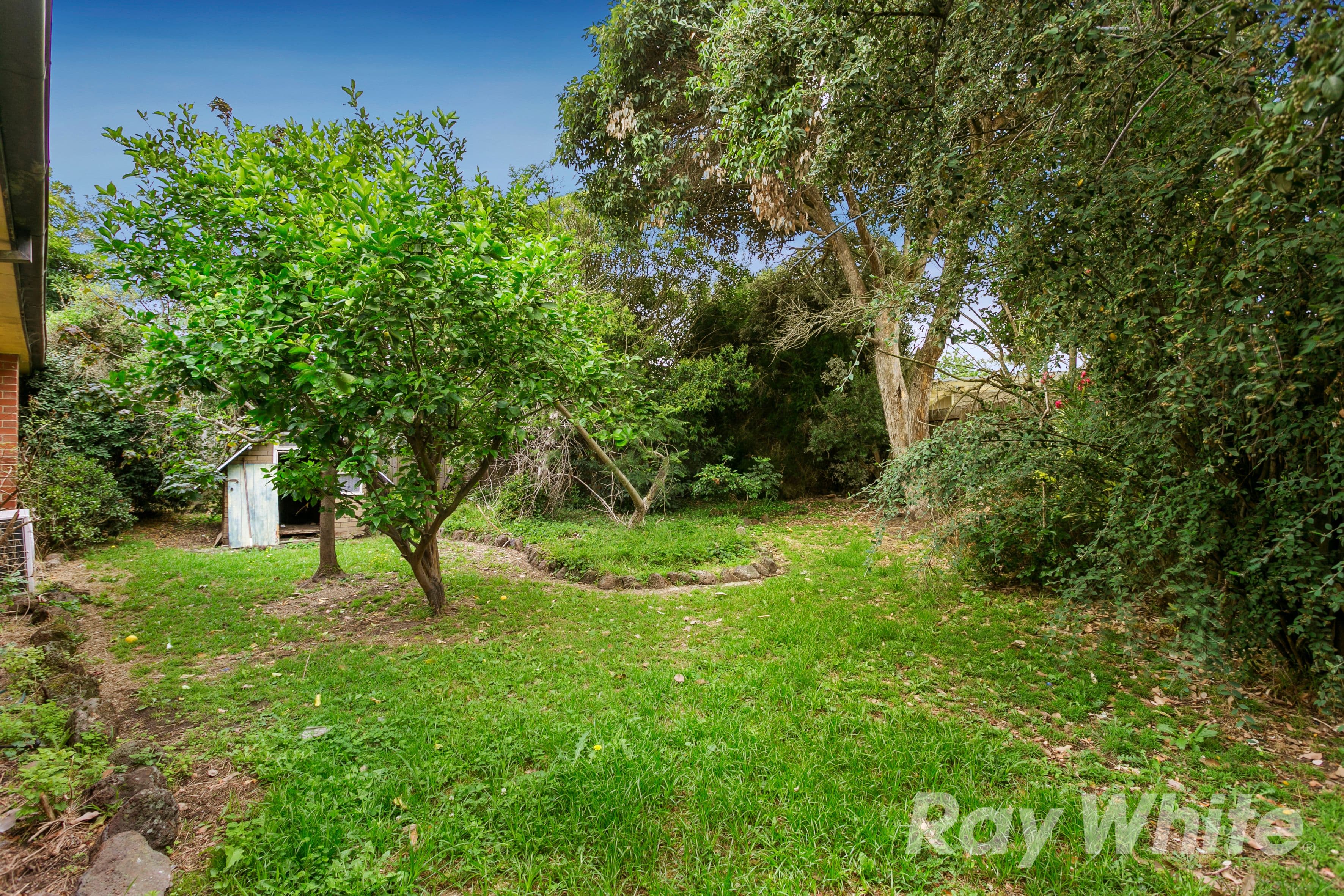 8 Harbinger Court, Wheelers Hill VIC 3150, Wheelers Hill - Thumbnail 8