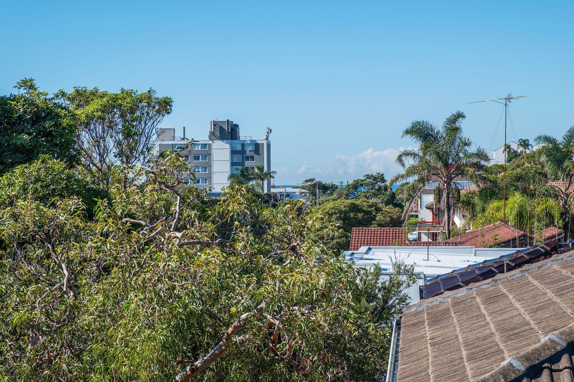 115 Pacific Parade, Dee Why NSW 2099, Dee Why - Thumbnail 7