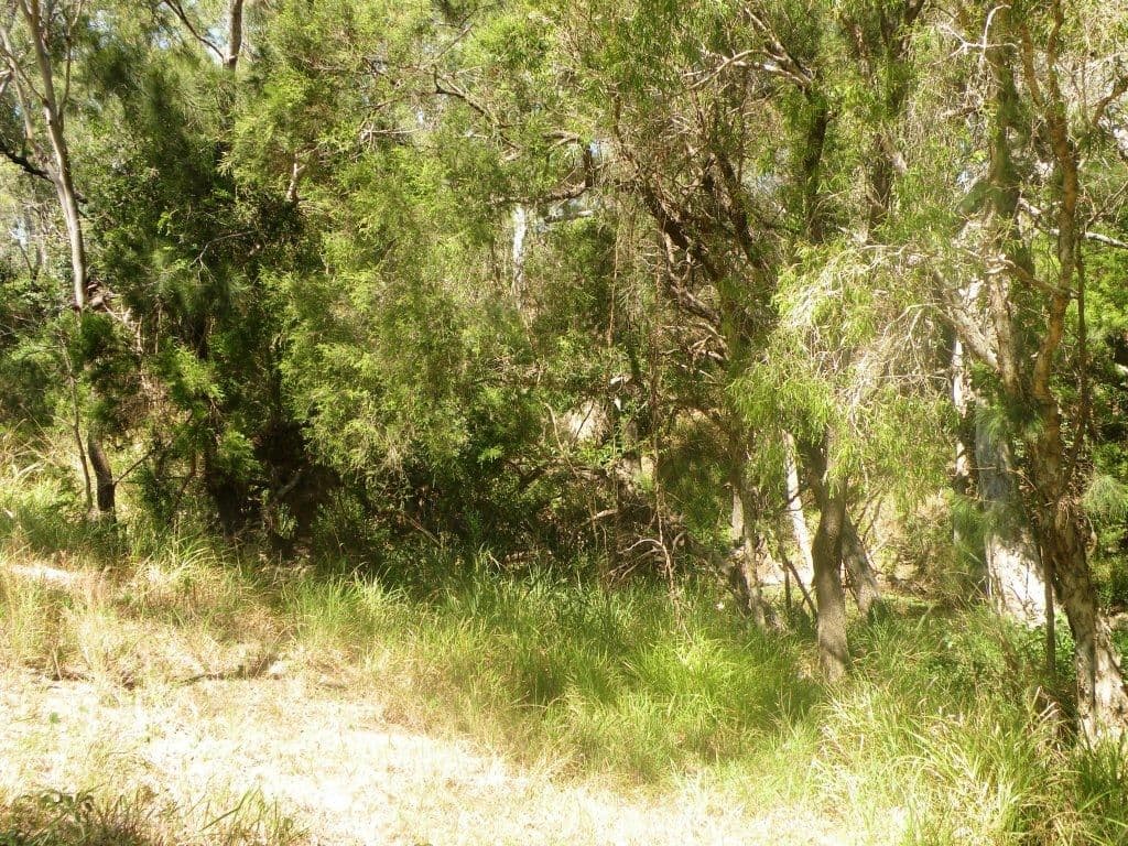 Lot 7 Maclyn Avenue, Belmont Creek Estate, Glenlee QLD 4711, Glenlee - Thumbnail 3
