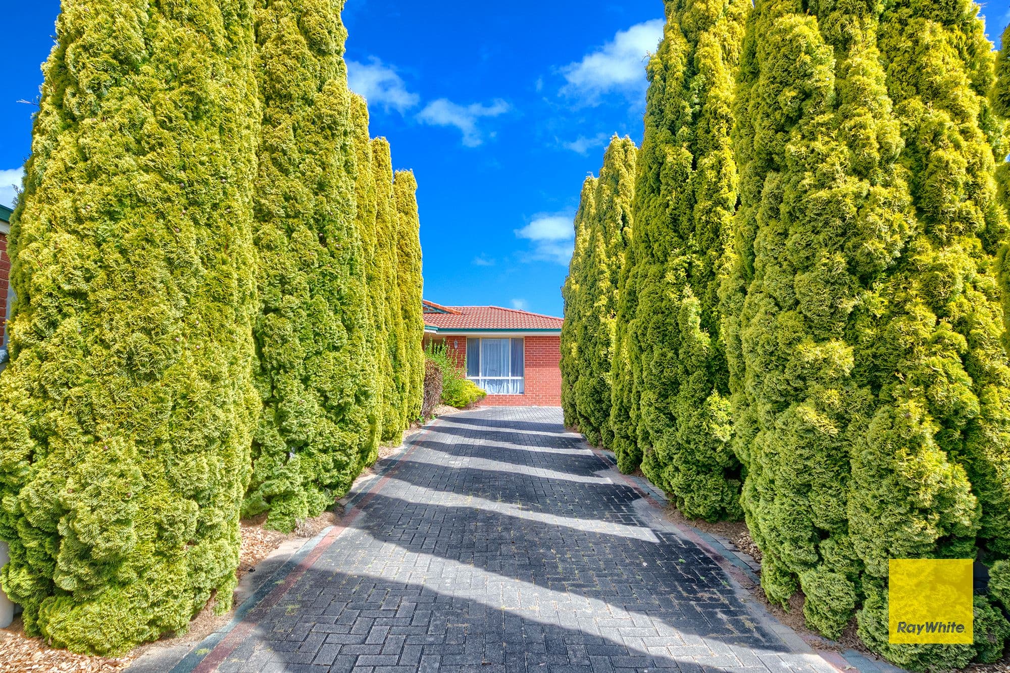 56 Susan Court, Yakamia WA 6330, Yakamia - Thumbnail 2