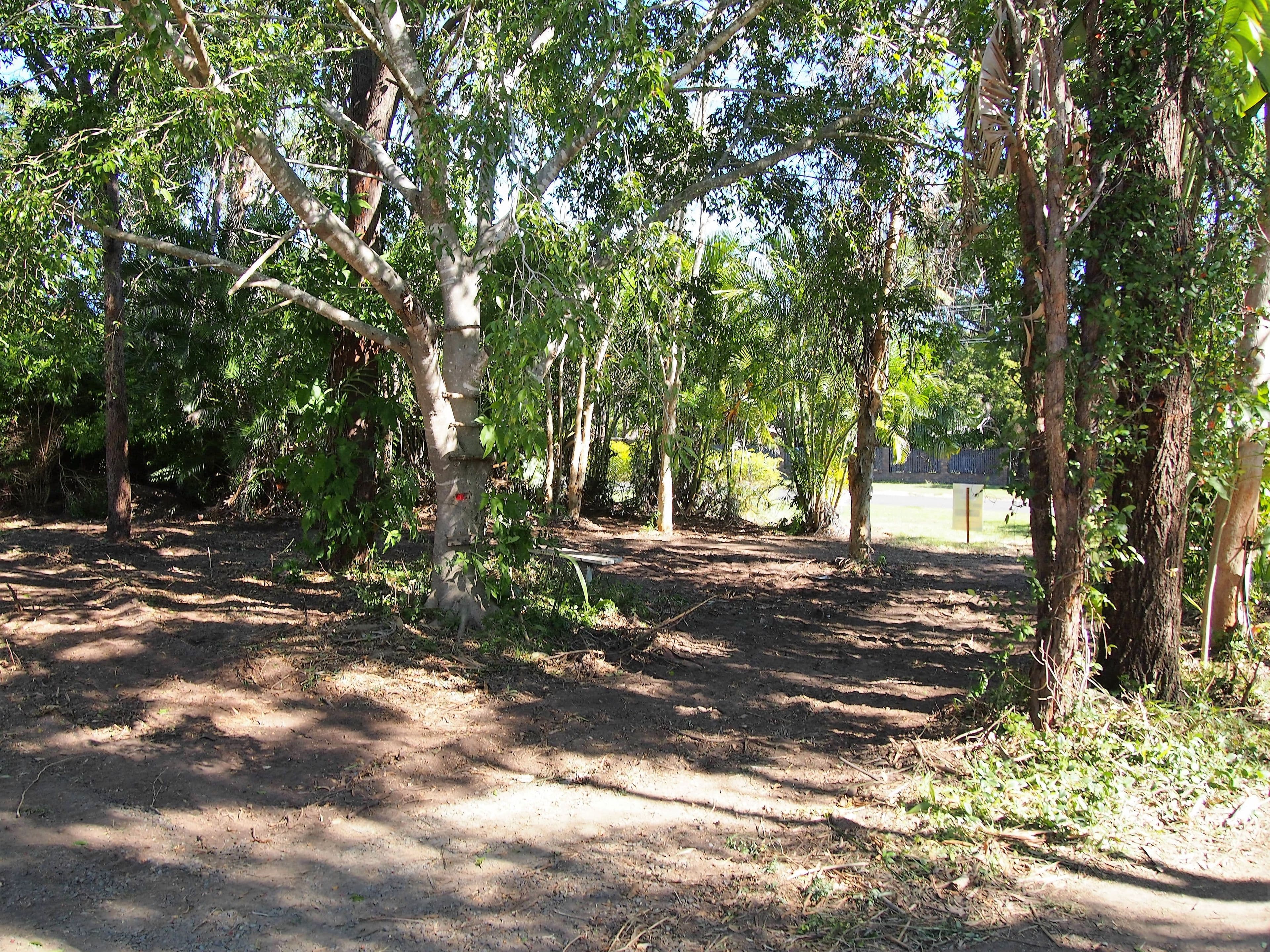 58 Honiton Street, Torquay QLD 4655, Torquay - Thumbnail 3