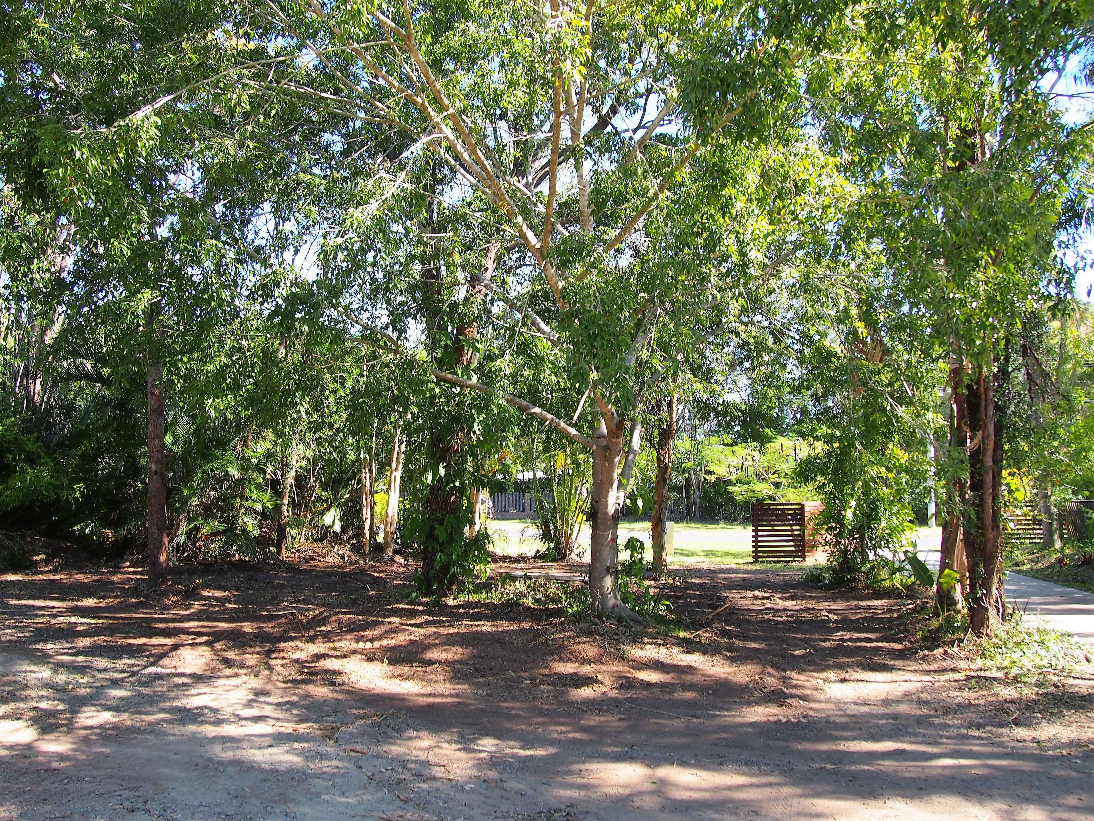 58 Honiton Street, Torquay QLD 4655, Torquay - Thumbnail 4