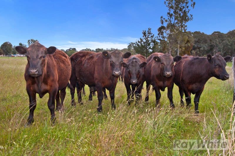 Lot 2 633 Moore Creek Road, Tamworth NSW 2340, Tamworth - Thumbnail 2