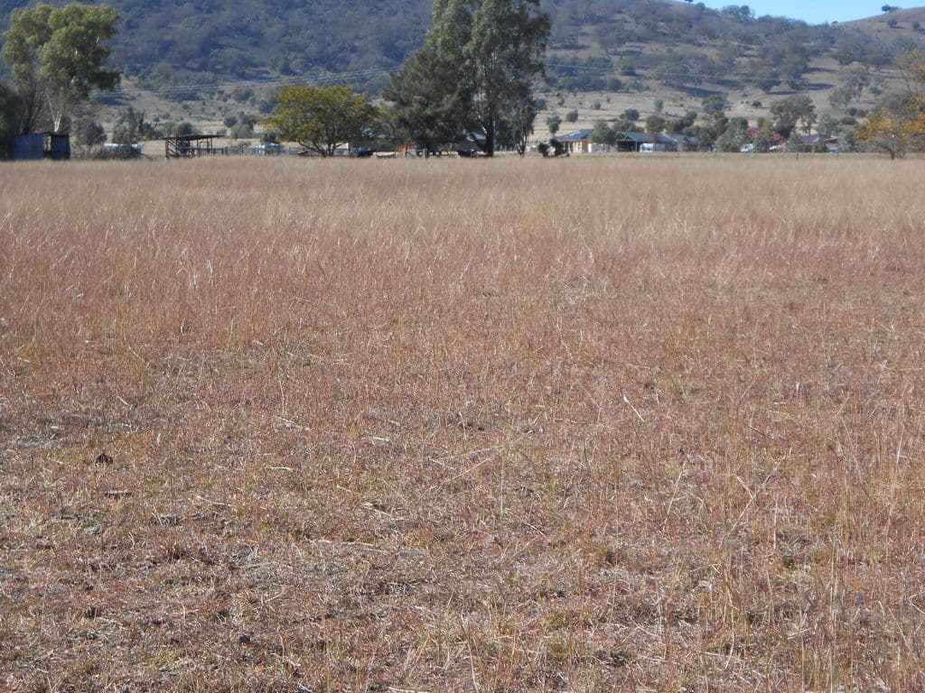 Lot 2 633 Moore Creek Road, Tamworth NSW 2340, Tamworth - Thumbnail 6