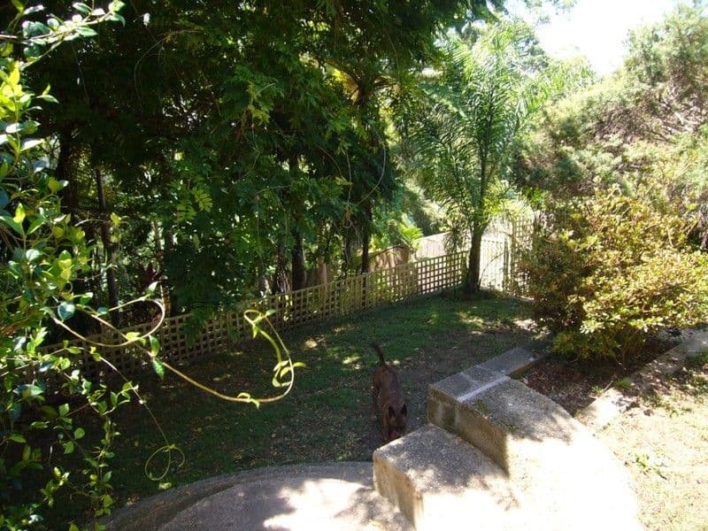 66 Nelson Street, NAMBUCCA HEADS NSW 2448, Nambucca Heads - Thumbnail 8