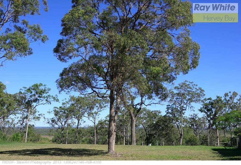 14 Longview Drive, RIVER HEADS QLD 4655, River Heads - Thumbnail 5