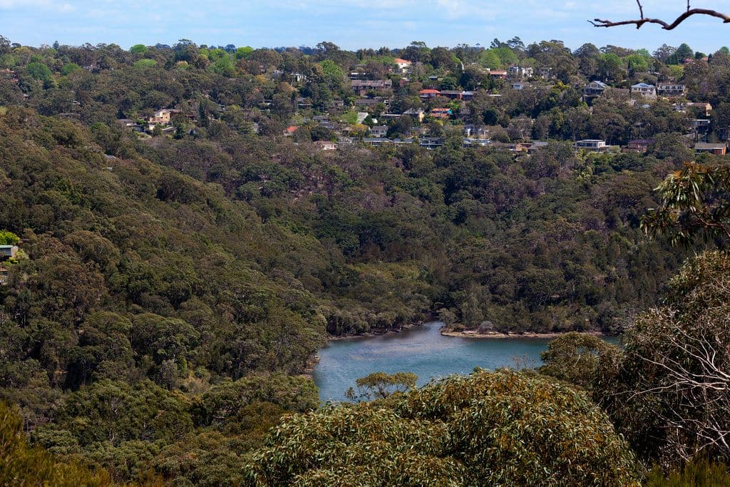 81 Ballyshannon Road, Killarney Heights - Thumbnail 5
