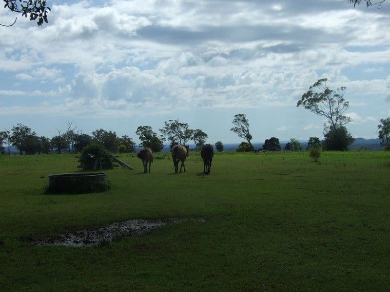 0 Reinke Road, HADEN QLD 4353, Haden - Thumbnail 8