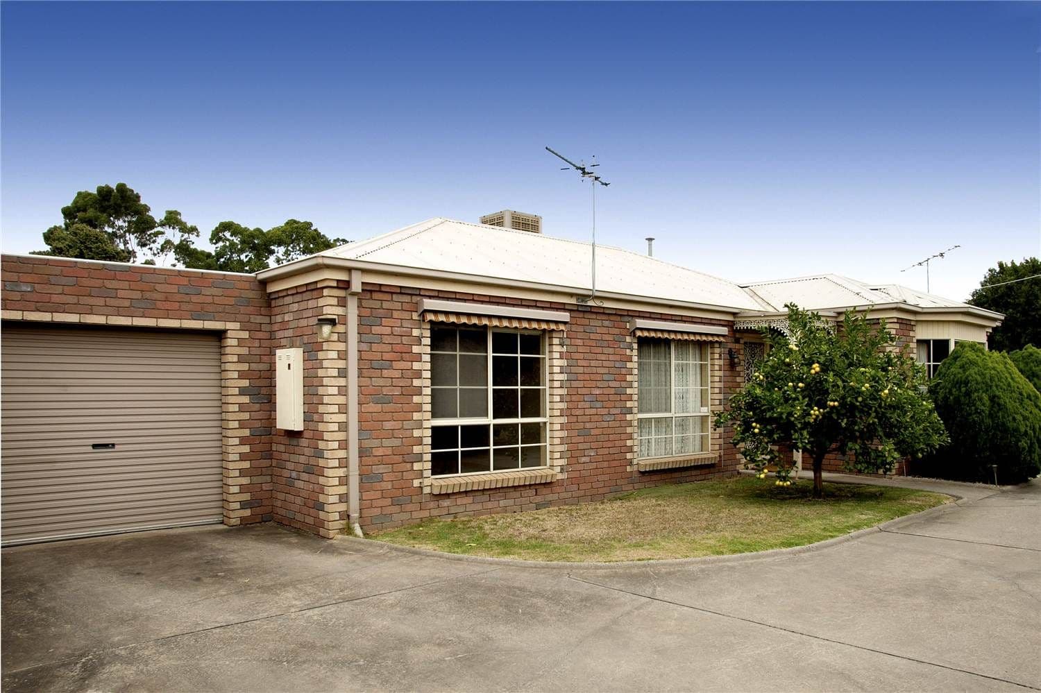 1 Tyrone Street, HAMLYN HEIGHTS VIC 3215, Hamlyn Heights - Image 1