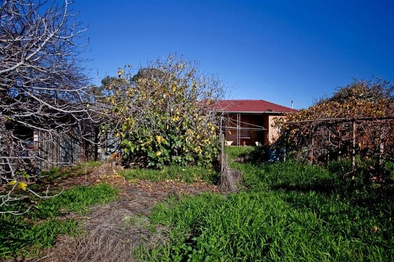 6 Royal Terrace, ROYAL PARK SA 5014, Royal Park - Thumbnail 3