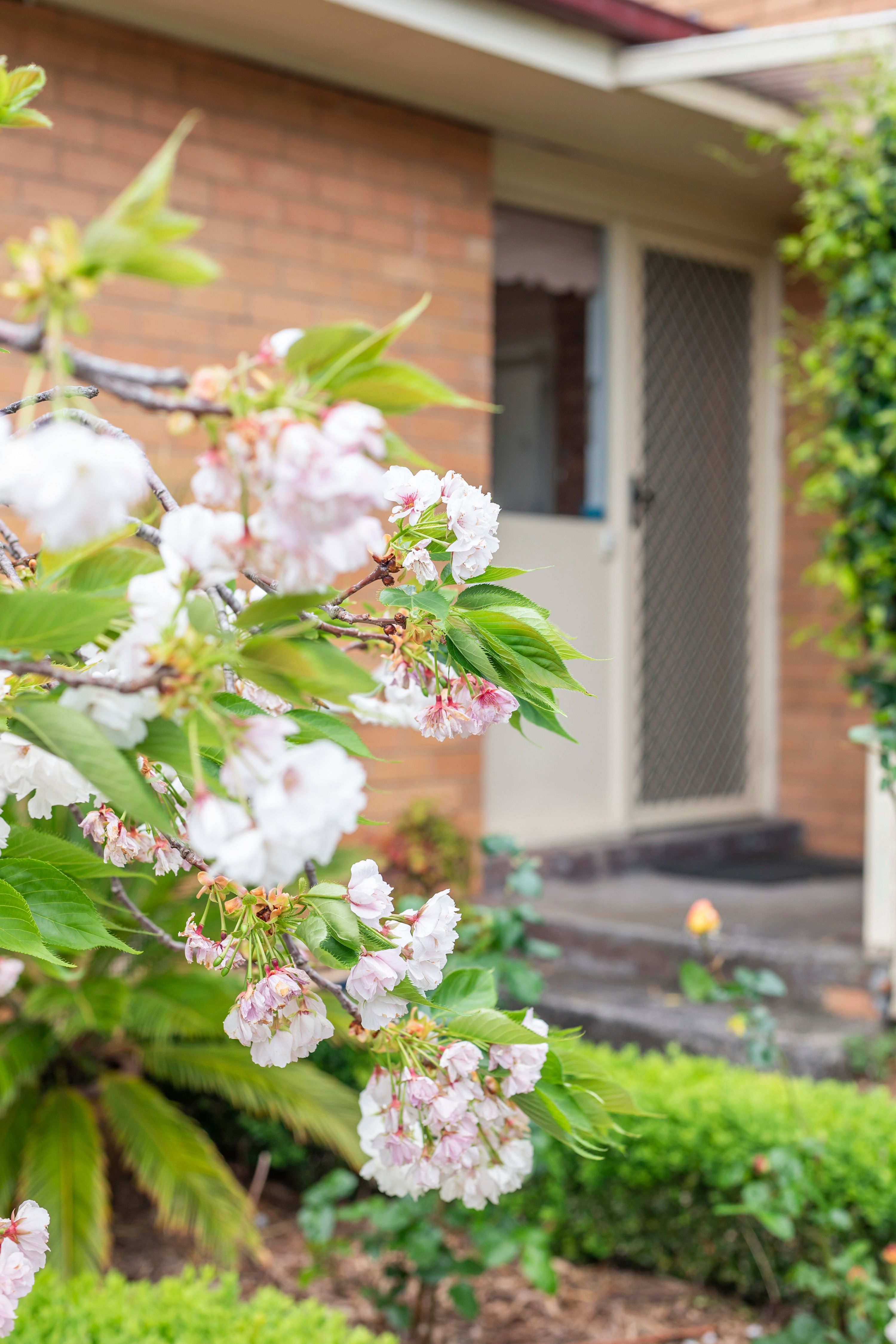 12 Whitewood Street, Frankston North VIC 3200, Frankston North - Thumbnail 8
