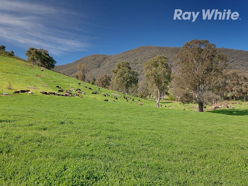 191 Mulholland Road, GEORGES CREEK VIC 3700, Georges Creek - Thumbnail 3