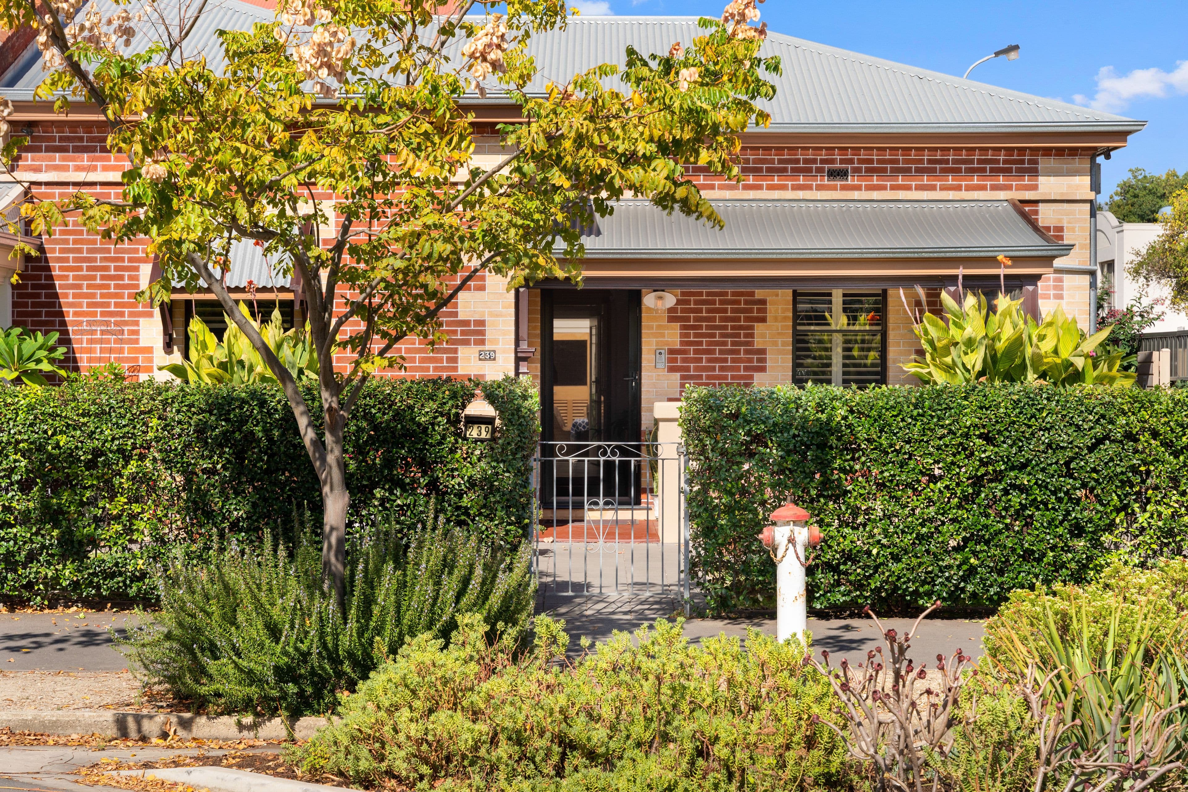 239 Gilbert Street, Adelaide SA 5000, Adelaide - Thumbnail 2