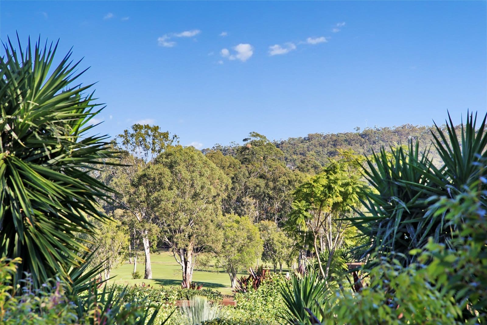 20 Morfantaine Terrace, Parkwood QLD 4214, Parkwood - Thumbnail 4