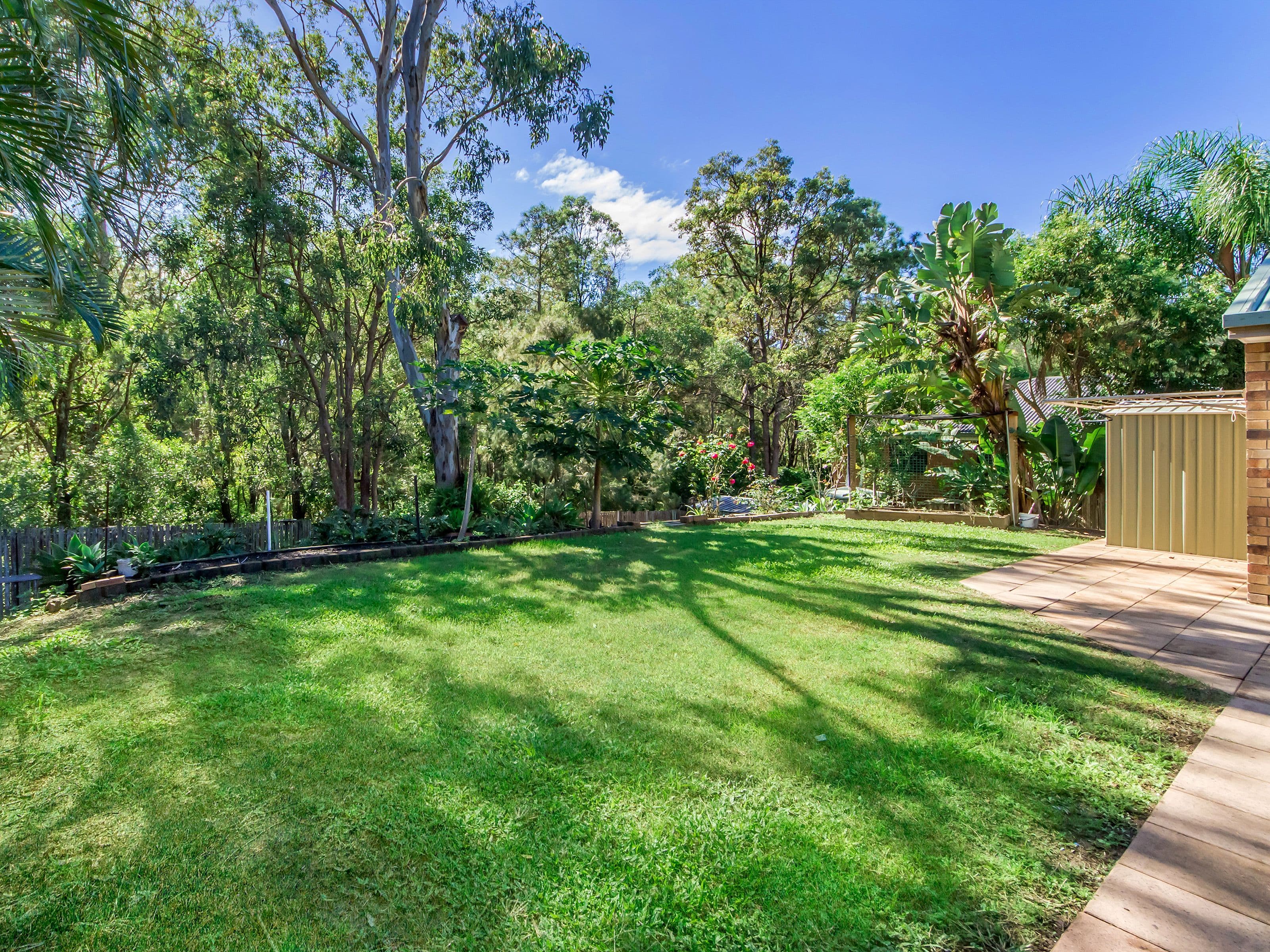 11 Pinedale Street, Oxenford QLD 4210, Oxenford - Thumbnail 3