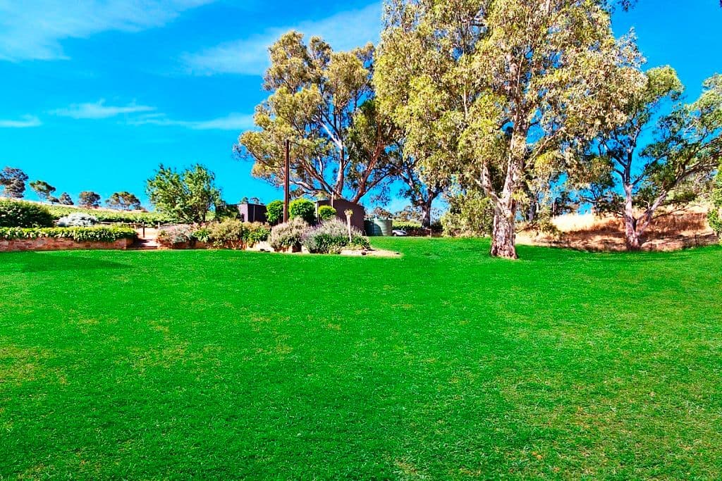 82 Slaughterhouse Road, Clare SA 5453, Clare - Thumbnail 4