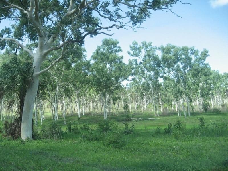 NOME QLD 4816, Nome - Thumbnail 2