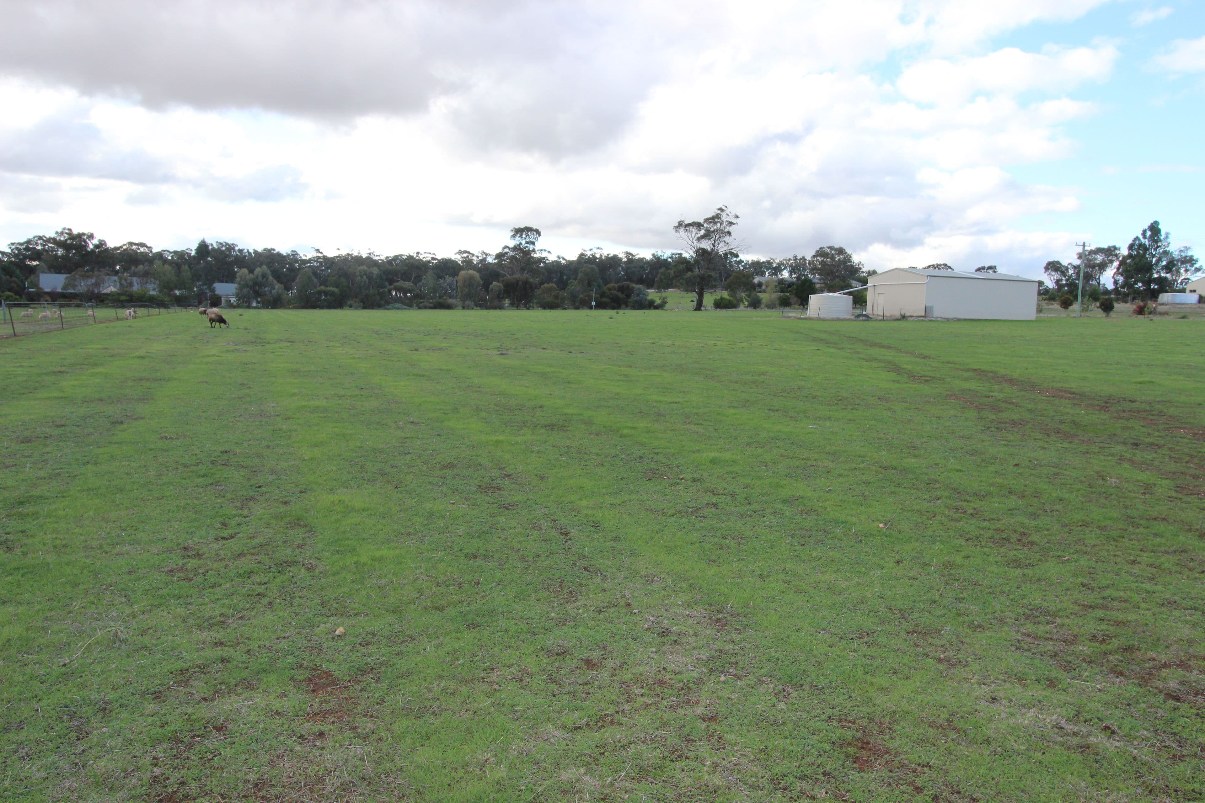 3 Kurrawong Street, Temora NSW 2666, Temora - Image 1