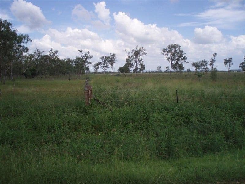 Lot 137 Tyrell Road, ALTON DOWNS QLD 4702, Alton Downs - Thumbnail 4