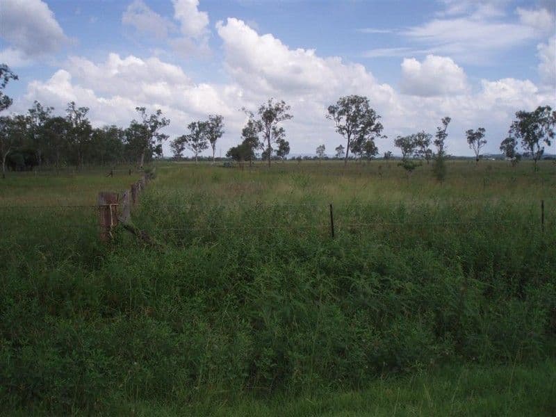 Lot 137 Tyrell Road, ALTON DOWNS QLD 4702, Alton Downs - Thumbnail 5