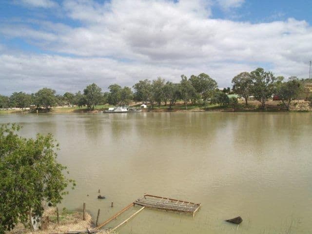Lot 38 North West Bend, MORGAN SA 5320, Morgan - Thumbnail 2