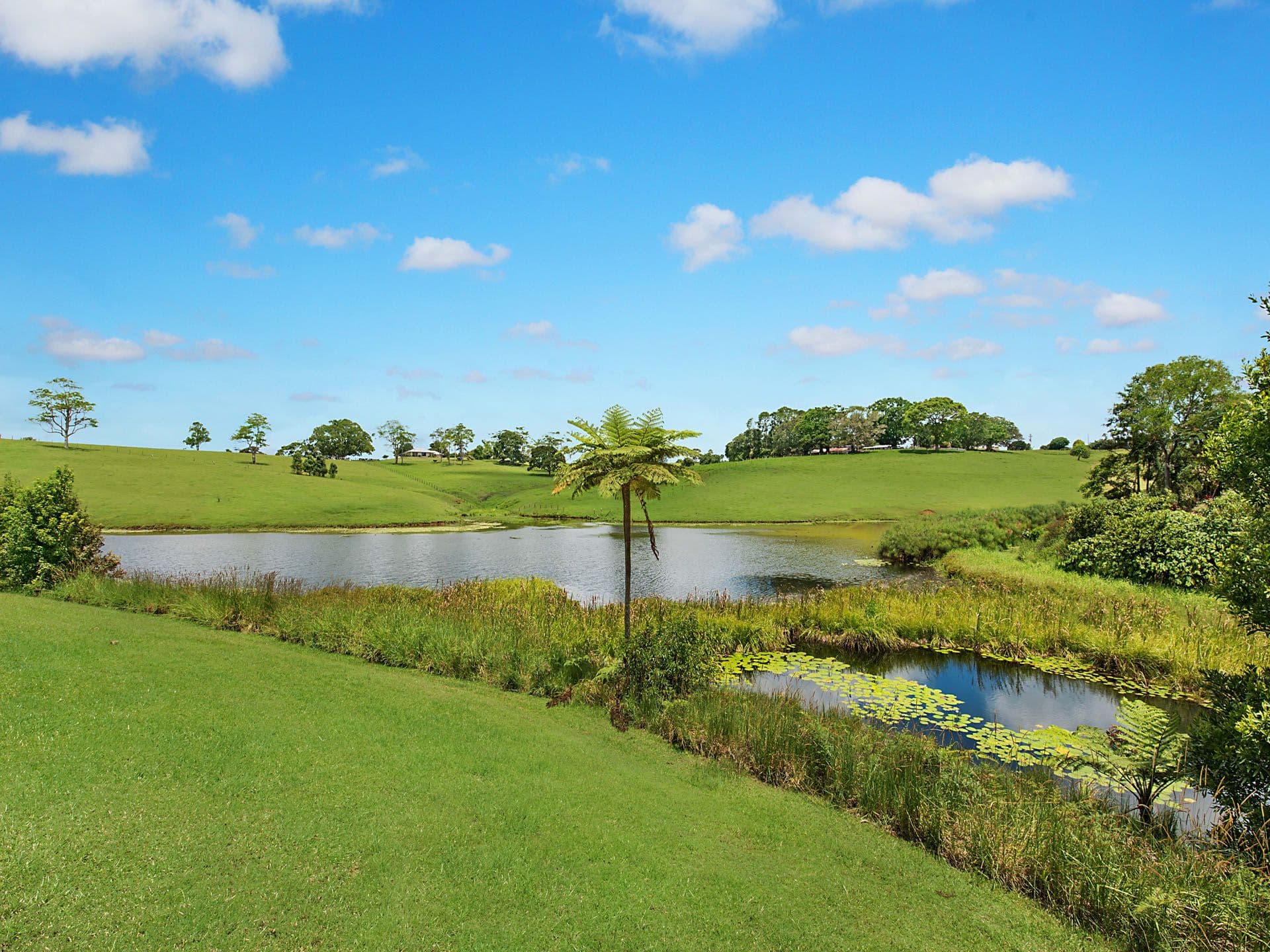 7 Lawrence Place, Maleny QLD 4552, Maleny - Thumbnail 4