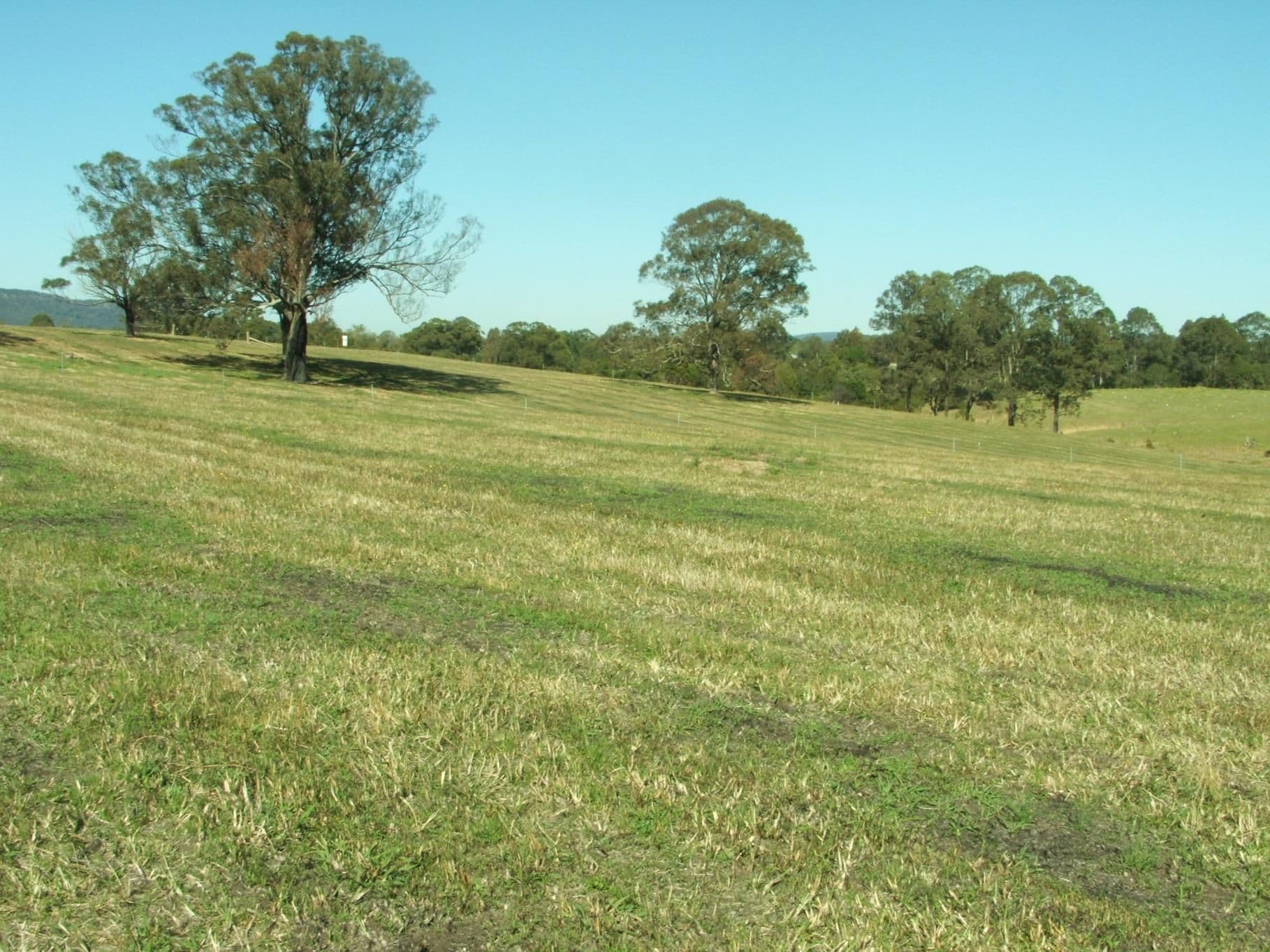 Lot 3003 Riverdowns Estate, CLARENCE TOWN NSW 2321, Clarence Town - Image 1