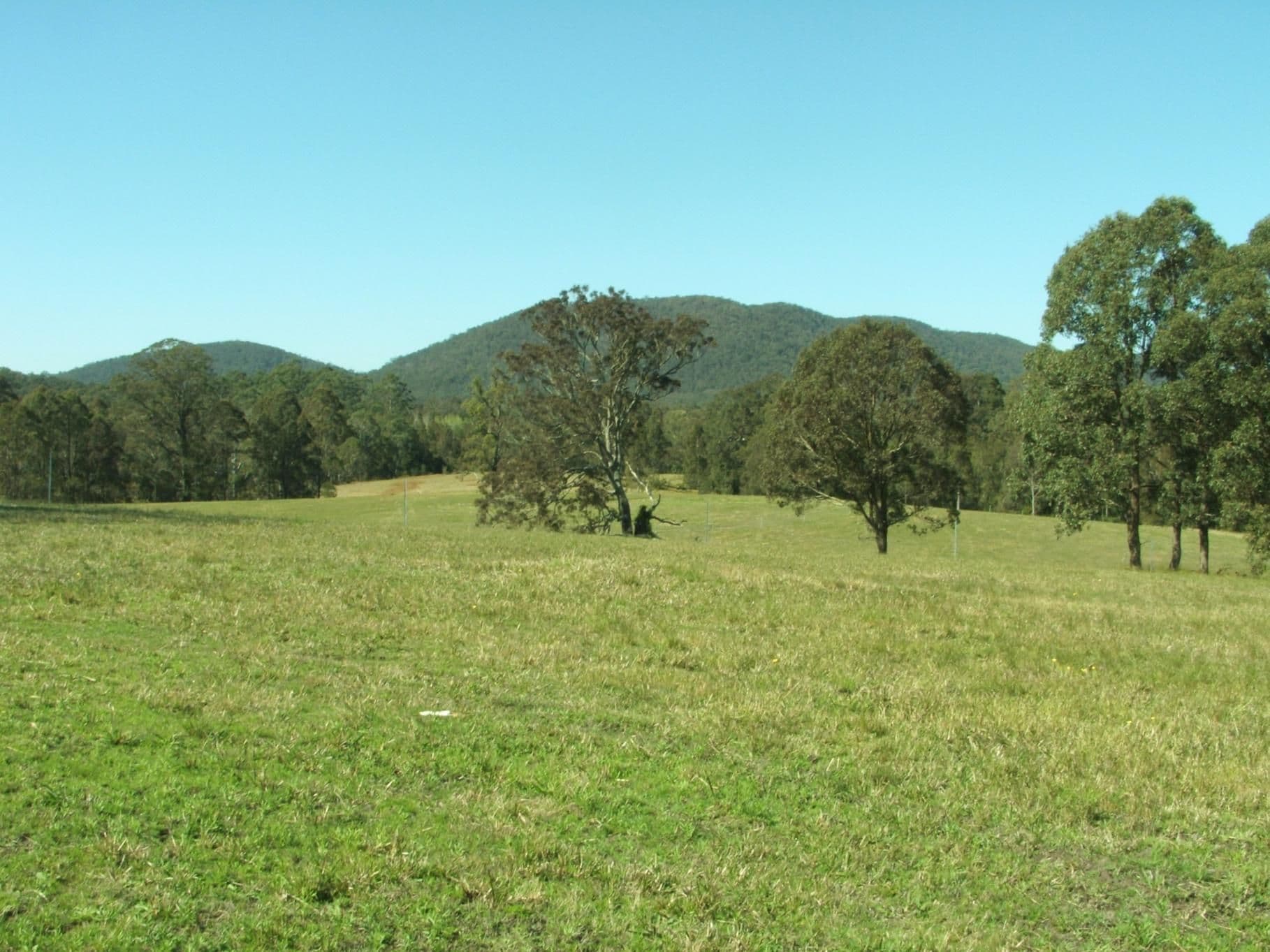 Lot 3003 Riverdowns Estate, CLARENCE TOWN NSW 2321, Clarence Town - Thumbnail 2