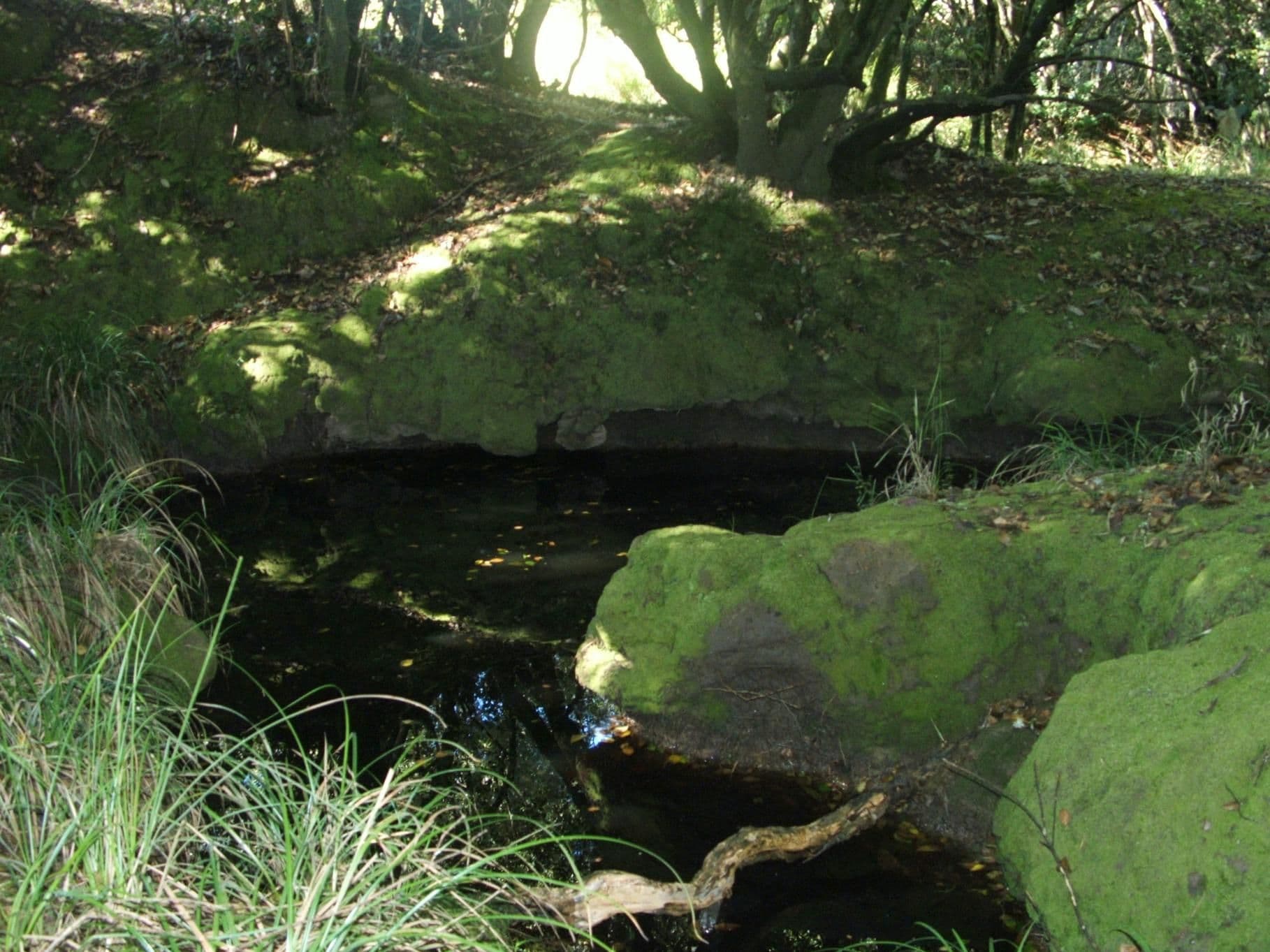 Lot 3003 Riverdowns Estate, CLARENCE TOWN NSW 2321, Clarence Town - Thumbnail 4